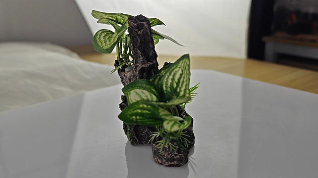 超大型　☆アクアリウム　生花　テラリウム  爬虫類　天然流木  止まり木　⭐︎ 流木(625) 超大型流木 アクアリウム テラリウム 魚用品・水草